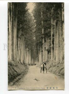 3082399 JAPAN Cryptomeria Road Imaichi Nikko rickshaw Vintage