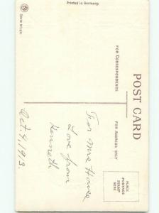 Divided-Back BEAUTIFUL FLOWERS SCENE Great Postcard AA2224