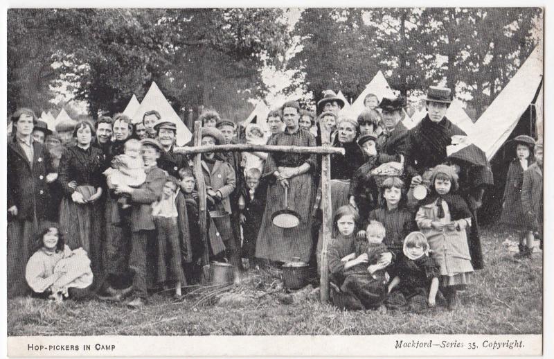 Social History; Hop Pickers In Camp PPC Mockford Series No 35, Unposted, c 1900s