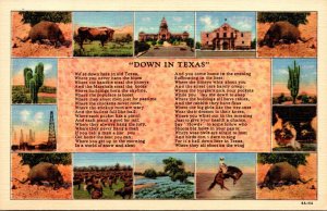 Texas Poem Down In Texas Curteich