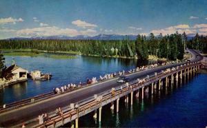 WY - Yellowstone National Park. Fishing Bridge