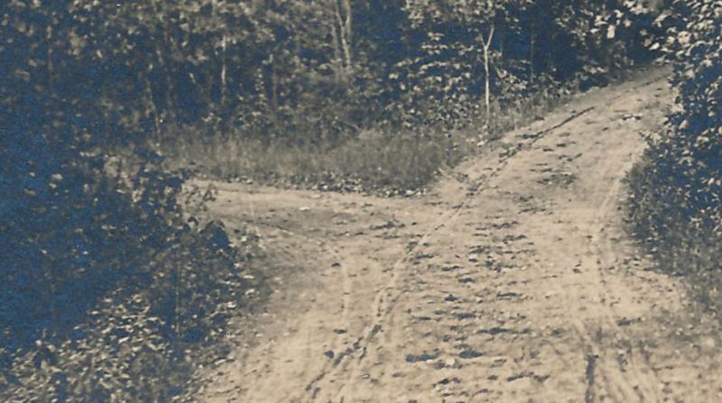 RPPC Birch Trees at Parting of the Ways - Antrim NH, New Hampshire - pm 1912