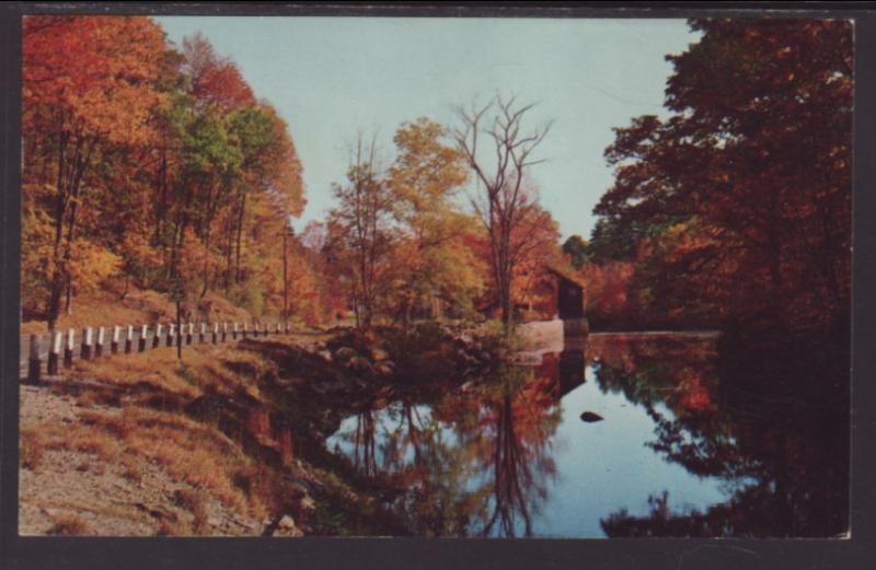 Reflections in Autumn Postcard BIN