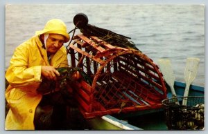 New England  Lobster Fisherman   Postcard