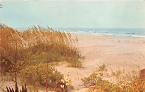 US4 US SC South Carolina's sea islands 1972 sea side scene