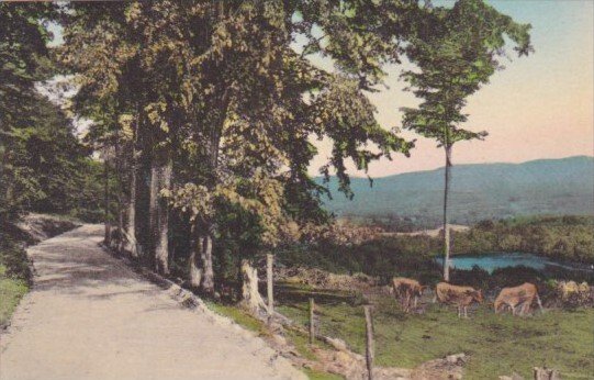 Vermont Wallingford Elfin Lake and Coolidge Range From West Hill Road Handcol...