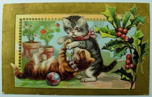 C.1910 Christmas, Xmas, Cats Postcard P76