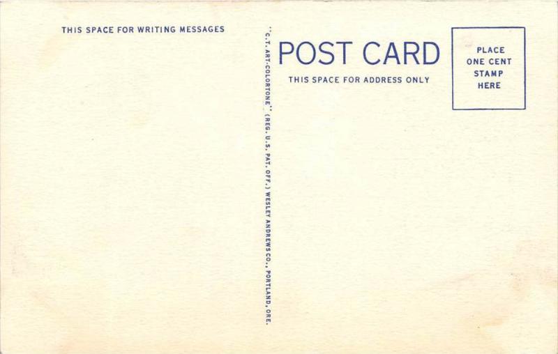 13565 ID  Sun Valley     Rodeo Broncho Busters