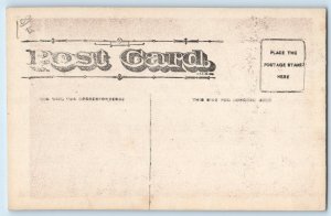 c1910's Pretty Woman House Interior Unposted Antique Postcard