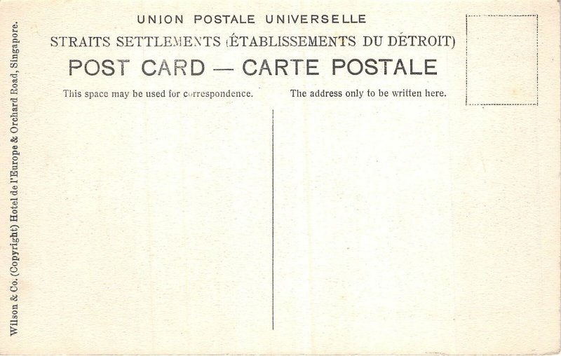 Lot 88 singapore botanical gardens