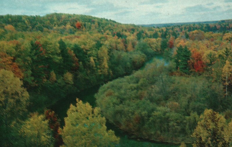 Vintage Postcard High Rollaways Muskegon River Michigan MI
