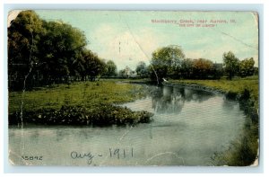 1911 The City of Lights, Blackberry Creek, near Aurora Illinois IL Postcard 