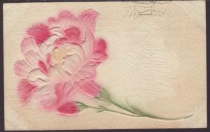 Carnation,Embossed Postcard