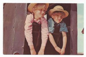 Lancaster PA Amish Boys Children Straw Hats Buggy Postcard