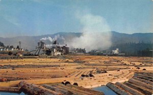 SCOTIA, CA California  WORLD'S LARGEST LUMBER MILL~Log Jam HUMBOLDT CO  Postcard