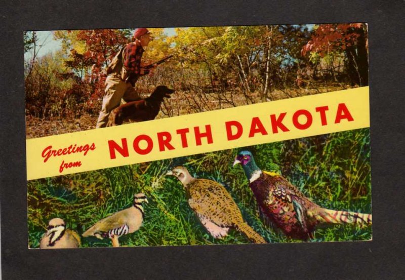 ND Greetings From North Dakota Pheasant Hunting with Dog