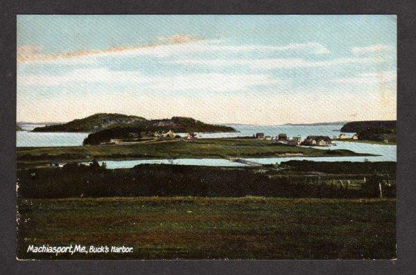 ME Vintage Machiasport Maine Buck's Harbor Houses Postcard UDB PC Carte Postale