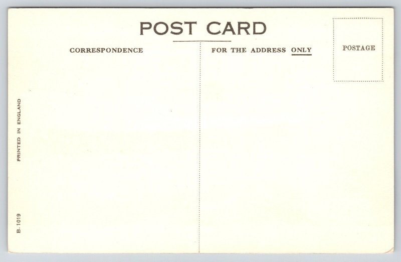 Ship~Cunard RMS Carinthia Steam Oceanliner~City Harbor~Cannons~1940s Postcard