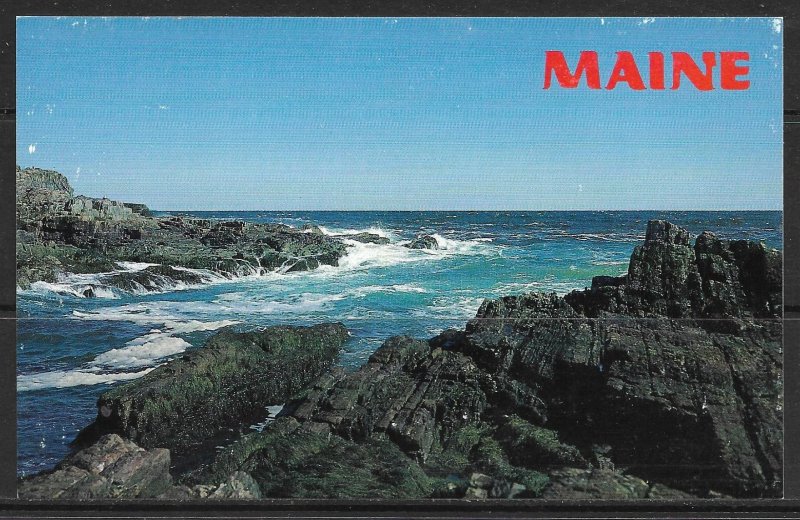 Maine, Ogunquit - Bald Head Cliff - [ME-030]