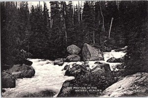 Postcard NATURE SCENE Glacier British Columbia BC AJ3603