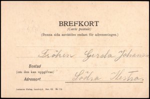 Sweden old Post card - lovers 1904 used