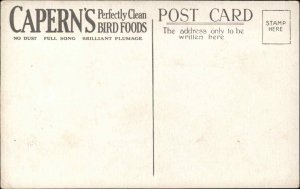 CAPERN'S BIRD SEED AD ADVERTISING Canary w Chicks Antique Postcard