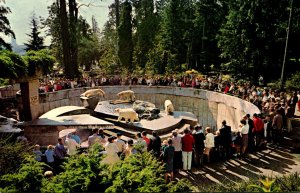 Canada Vancouver Stanley Park Polar Bears