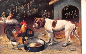 Greetings From Solsville, New York Postcard