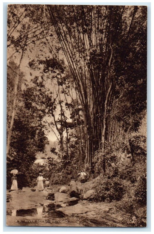 c1920's River and Bamboo Trees Scene Streams at Trinidad and Tobago Postcard