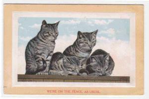 Cats Kittens on the Fence As Usual 1911 postcard