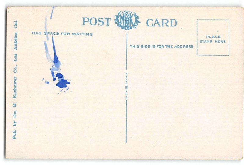 WHITE TEMPLE Anaheim, CA Orange County 1920s Vintage Postcard