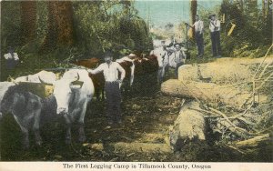 Vintage Postcard First Logging Camp in Tillamook County OR Oxen
