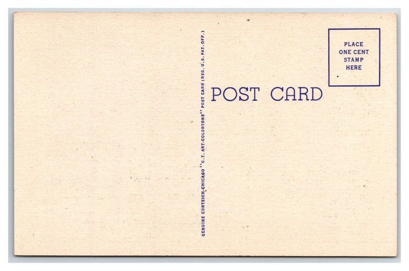 Spohn Park Corpus Christi Texas TX UNP Unused Linen Postcard U8