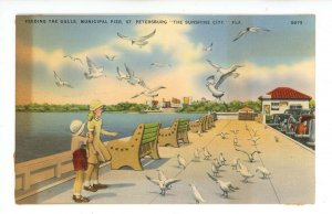 FL - St. Petersburg. Municipal Pier, Feeding Sea Gulls (stain)