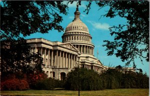 Washington DC - Capitol Building - [DC-371]