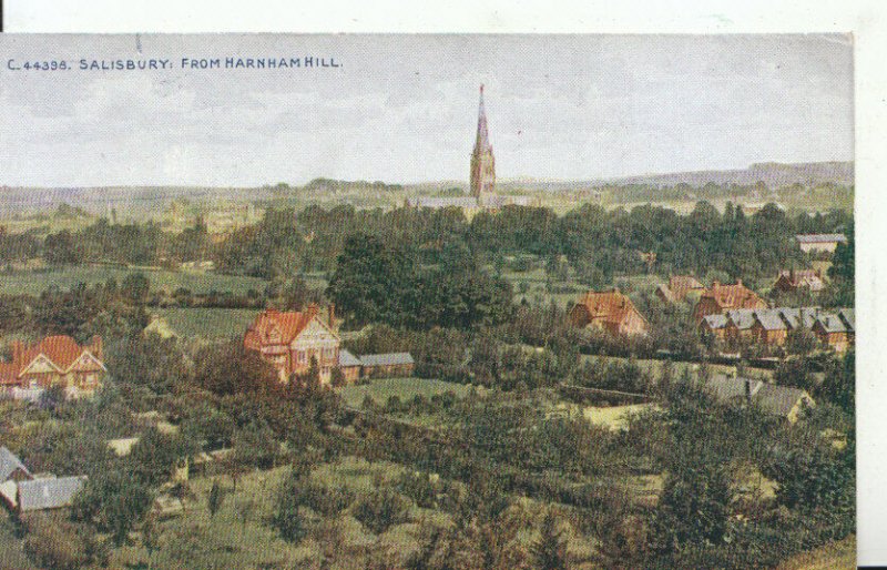 Wiltshire Postcard - Salisbury from Harnham Hill - Ref 9229A