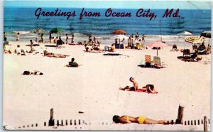 Postcard - Greetings from Ocean City, Maryland, USA 