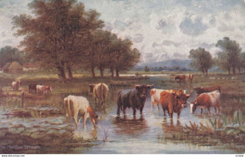 Cows in The Meadow Stream, England 1900-10s; TUCK 9470