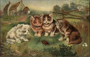 Cats Watch Beetle Bug Hoffmann's Rice Starch Advertising c1910 Postcard