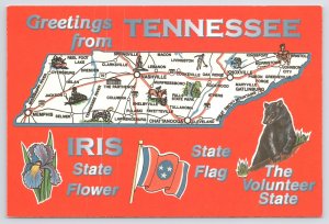 Tennessee~Pictorial State Map Flag & Flower~Continental Postcard