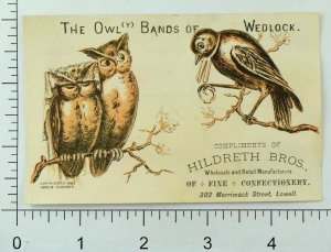 1882 Hildreth Bros. Confectionery Anthropomorphic Owls Marriage Bird & Ring P83