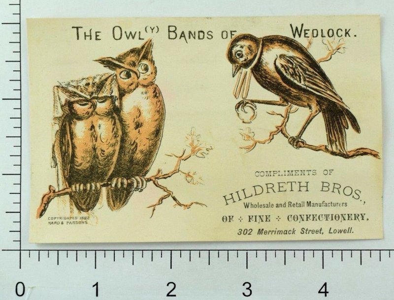 1882 Hildreth Bros. Confectionery Anthropomorphic Owls Marriage Bird & Ring P83