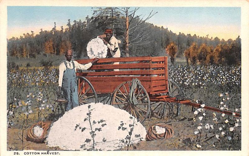 Cotton Harvest Unused 