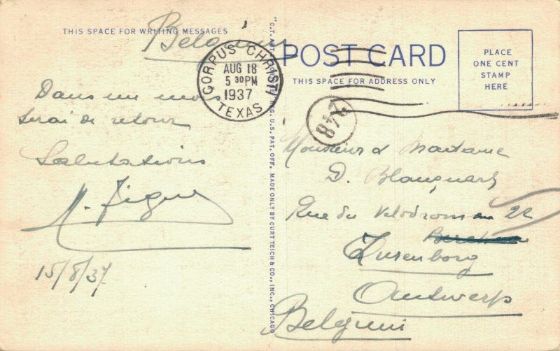 USA Artesian Park Corpus Christi Texas Linen Postcard 07.46