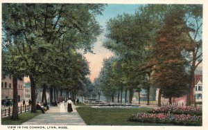 Vintage Postcard 1920's View In The Common Historic Park Lynn Massachusetts MA