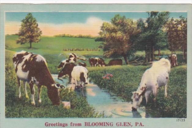 Pennsylvania Greetings From Blooming Glen With Cows