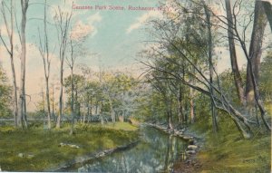 Rochester NY, New York - Scene in Genesee Valley Park - pm 1910 - DB