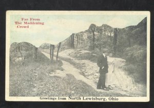 GREETINGS FROM NORTH LEWISBURG OHIO VINTAGE POSTCARD 1916