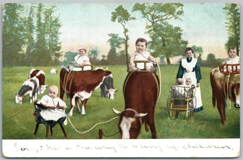 MULTIPLE BABIES COW MILKING & RIDING ANTIQUE POSTCARD