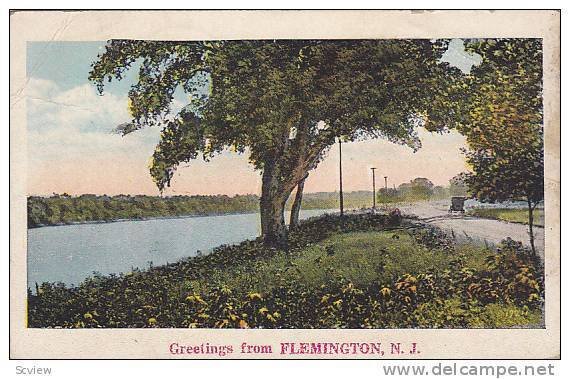 Dirt Road parallel to river, Greetrings form Flemington, New Jersey, PU-1929